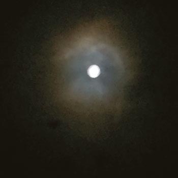Teil 1 08 Auge